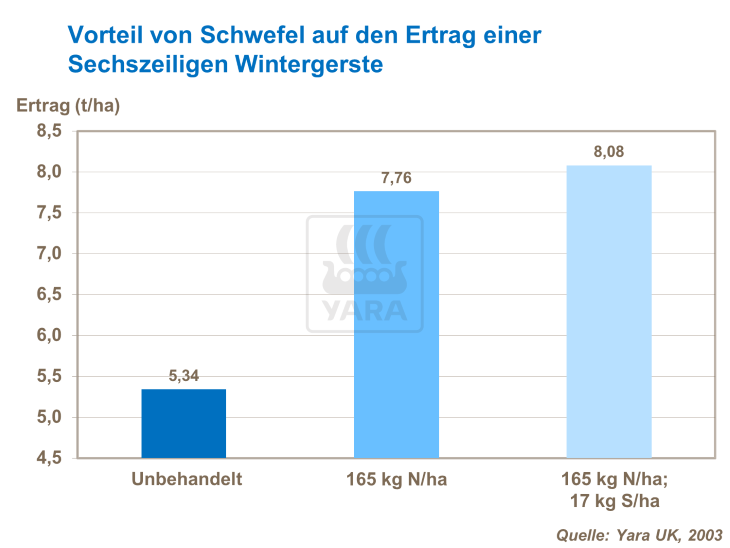Vorteil von Schwefel auf den Ertrag einer sechszeiligen Wintergerste