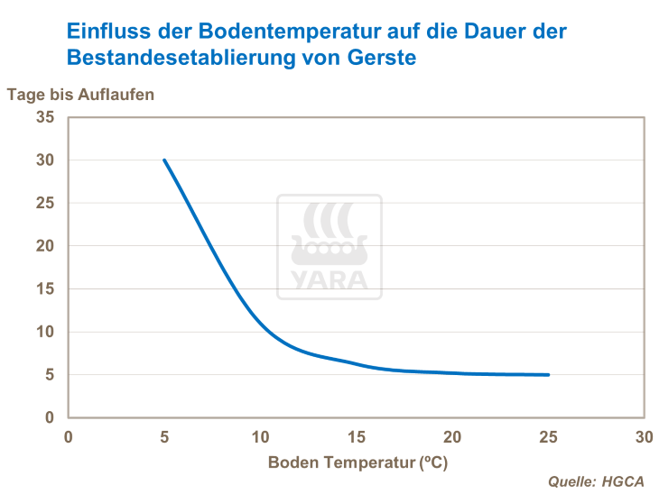 Einfluss der Bodentemperatur auf die Bestandsetablierung von Gerste