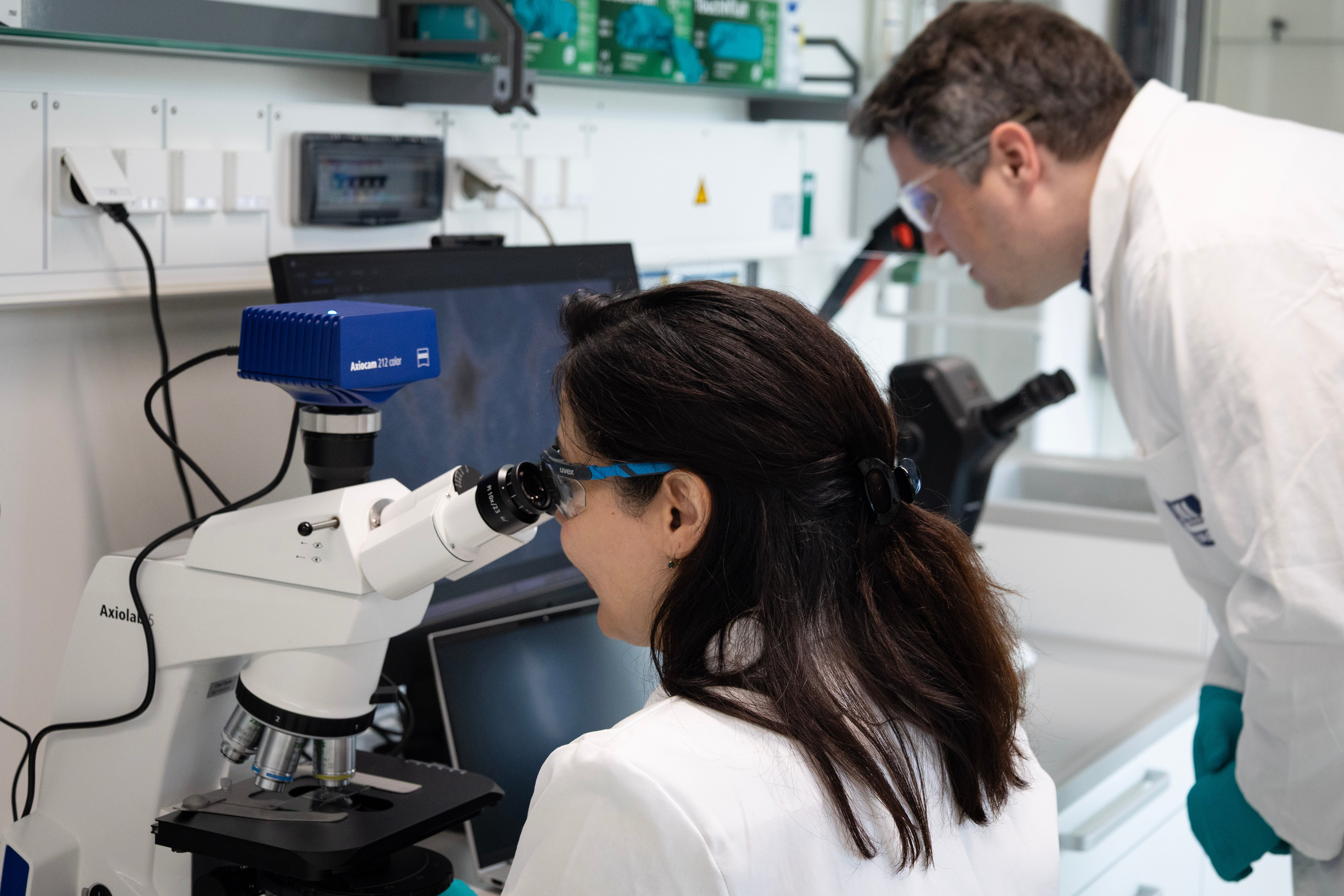 Zwei Wissenschaftler arbeiten an einem Mikroskop