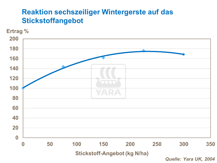 Reaktion sechszeiliger Wintergerste auf das Stickstoffangebot