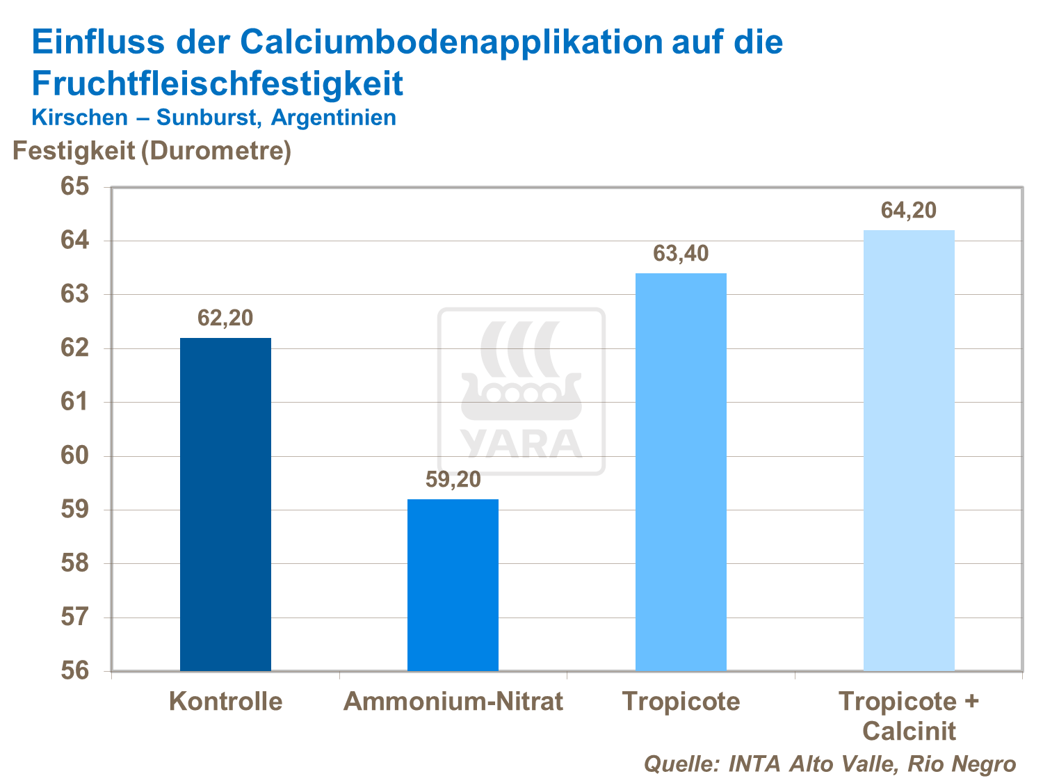 Einfluss der Calcium-Bodenapplikatin auf die Fruchtfleischfestigkeit von Kirschen