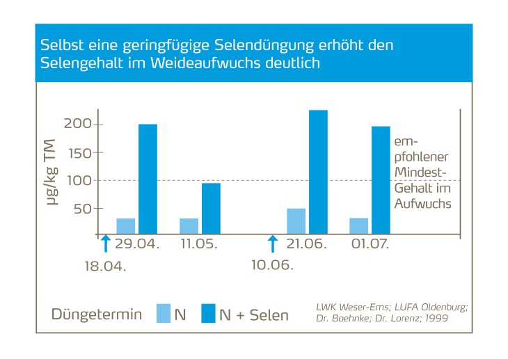 Geringfügige Selendüngung erhöht den Selengehalt im Weideaufwuchs deutlich