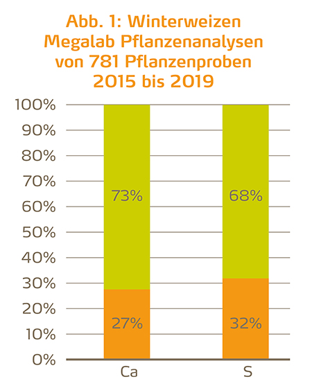 Winterweizen Megalab Pflanzenanalysen 2015-2019 450pix.jpg