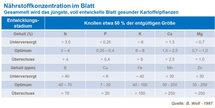 Nährstoffkonzentration im Blatt