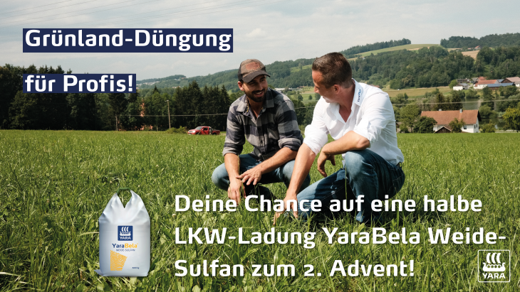 Gewinnspiel 2. Advent