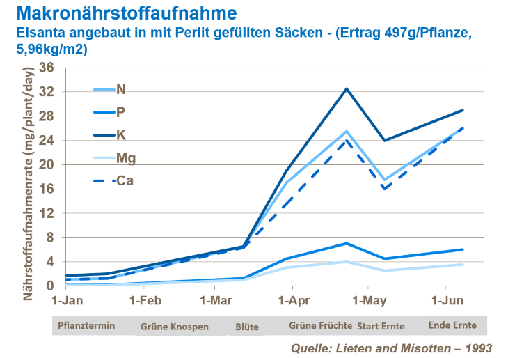 Erdbeerertrag erhöhen c.png
