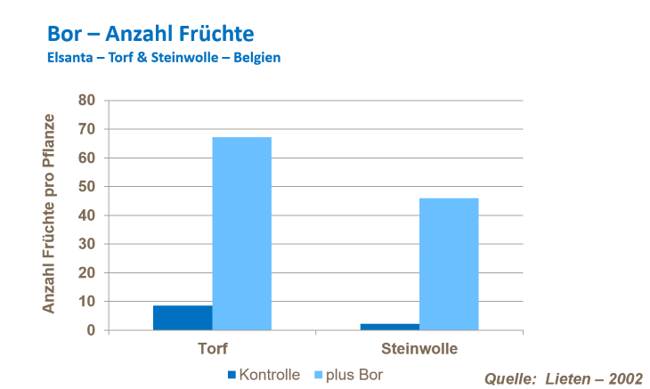 Fruchtzahl bei Erdbeeren 3.png