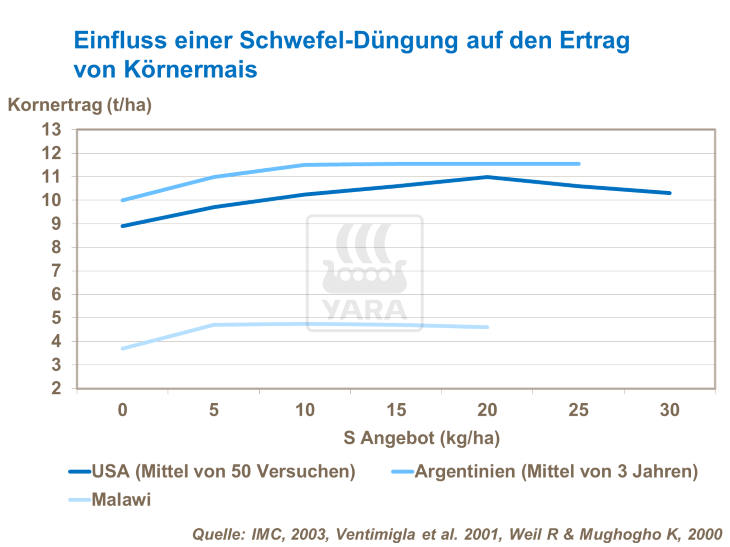 Einfluss einer Schwefel-Düngung auf den Ertrag von Körnermais 
