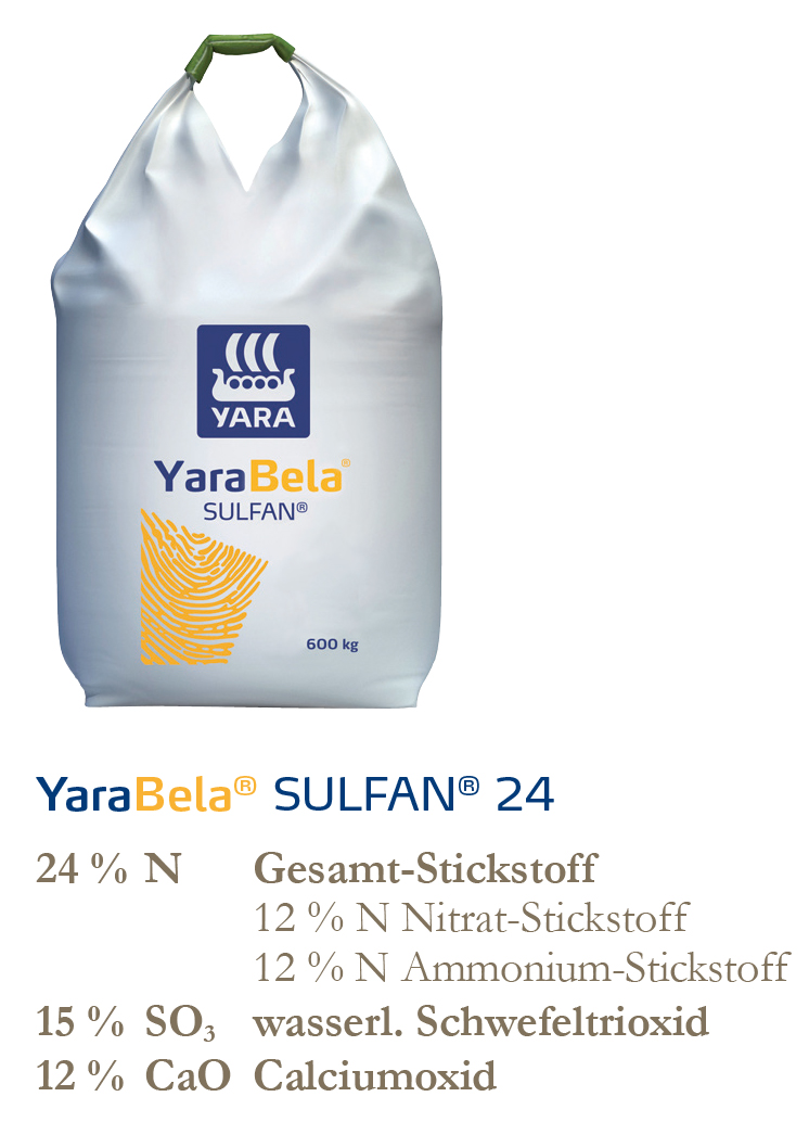 Big Bag YB Sulfan + Deklaration 746pix.jpg
