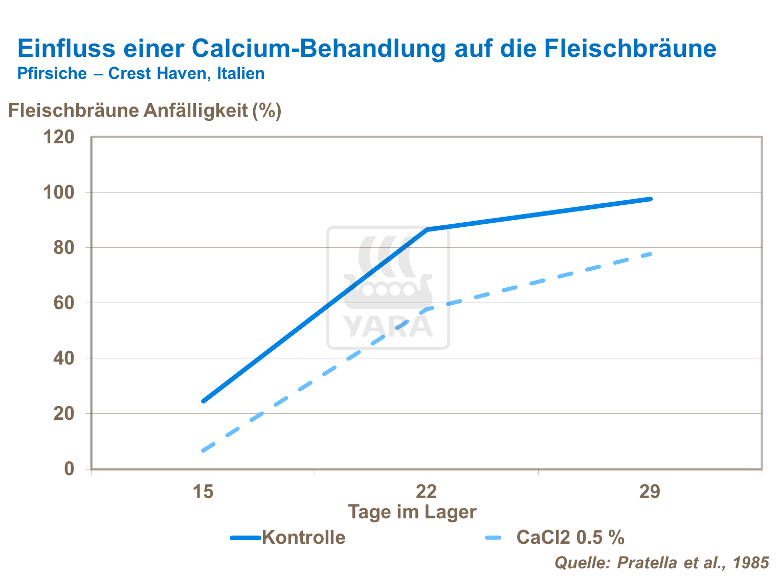 Einfluss einer Calcium-Behandlung auf die Fleischbräune bei Pfirsichen