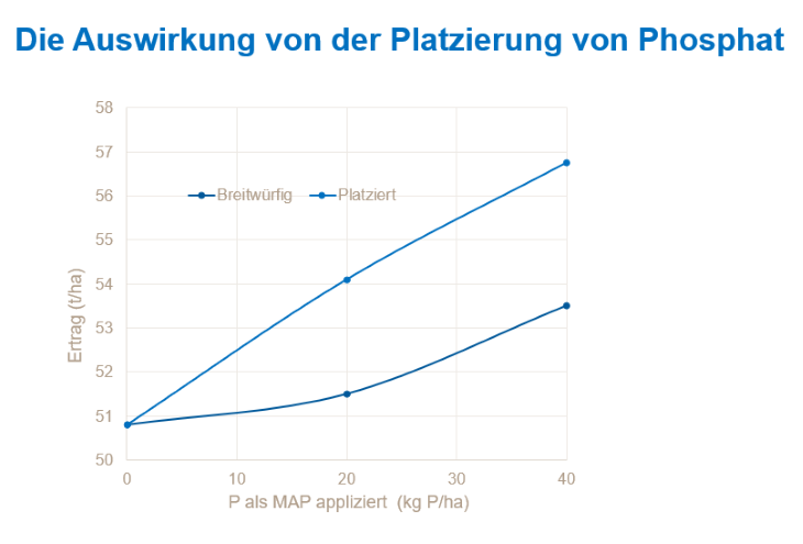Abbildung zeigt die Unterschiede von platzierten und breitwürfigen P 