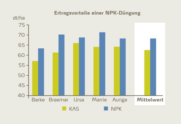 Abbildung 5: Die für Braugerste mit NPK-Starter-Düngern erzielten Erträge sind wesentlich höher als diejenigen mit KAS-Dünger. Die Ergebnisse von Feldversuchen in Deutschland für verschiedene Sorten bei einer identischen Stickstoffgabe von 100 kg/ha [7].