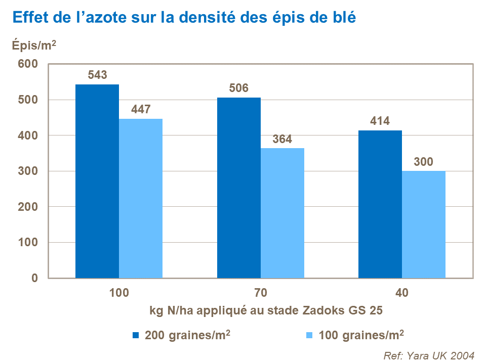 FR - effect of N on wheat ears density.png