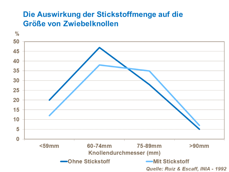 Die Auswirkung der Stickstoffmenge auf die Größe der Zwiebelknollen