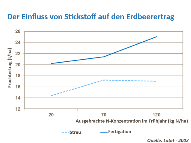 Erdbeerertrag erhöhen e.png