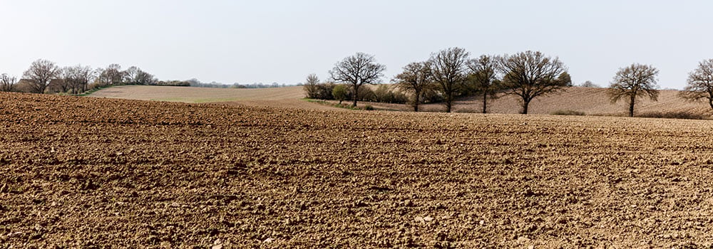 Düngen in Trockengebieten 