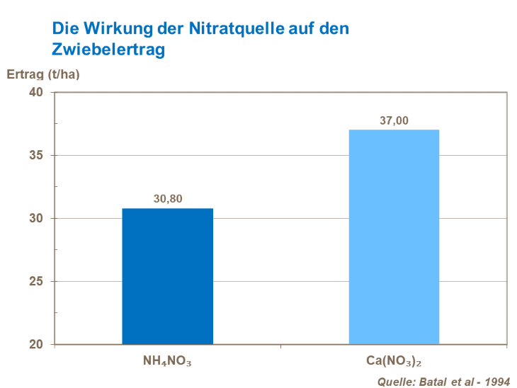 Die Wirkung der Nitratquelle auf den Zwiebelertrag