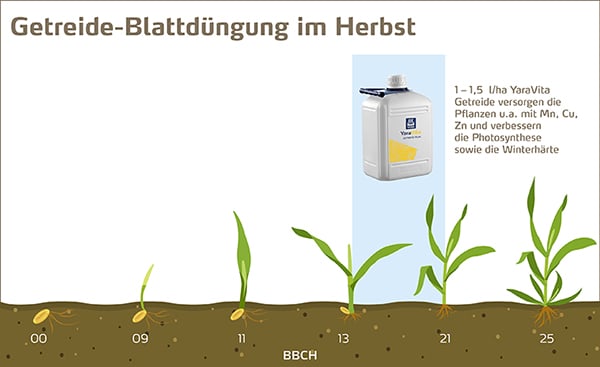 Herbstdüngung im Getreide