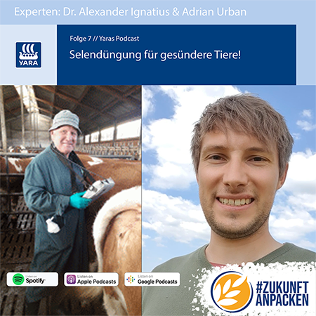Yara Podcast Selendüngung für gesündere Tiere