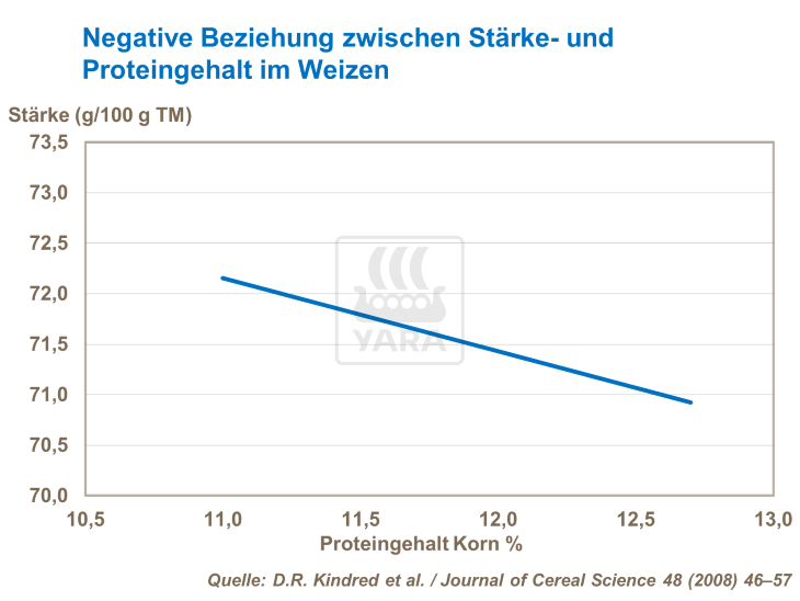 Negative Beziehung zwischen Stärke- und Proteingehalt im Weizen
