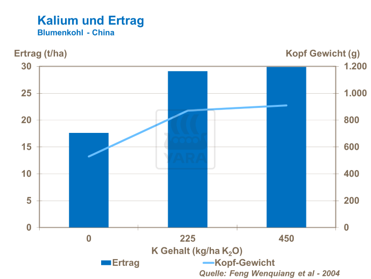 Kalium und Ertrag - Blumenkohl China