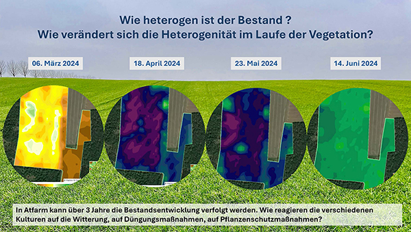 Heterogenität des Pflanzenbestandes