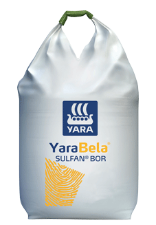 YaraBela Sulfan Bor Big Bag