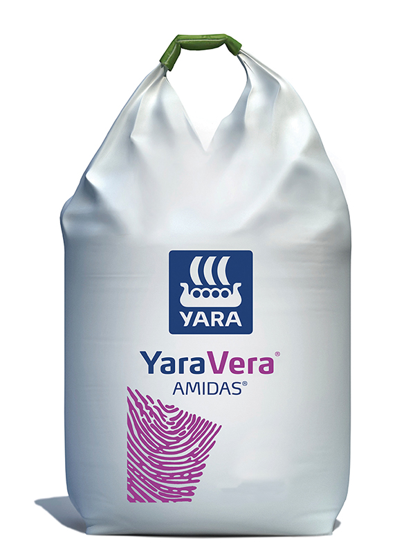 YaraVera Amidas Big Bag