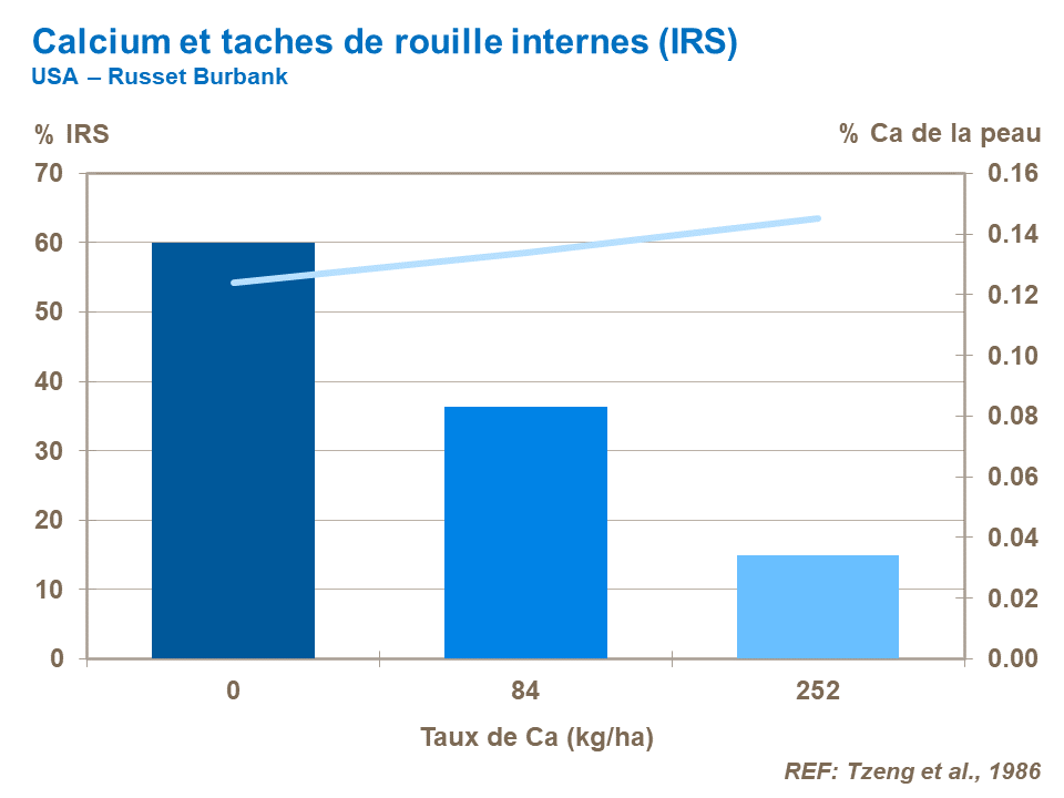 FR-Calcium and IRS russet.png