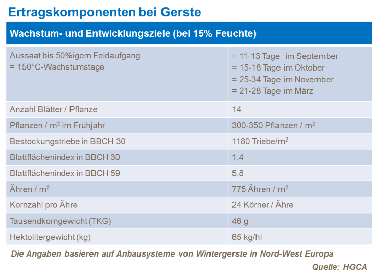 Ertragskomponenten bei Gerste