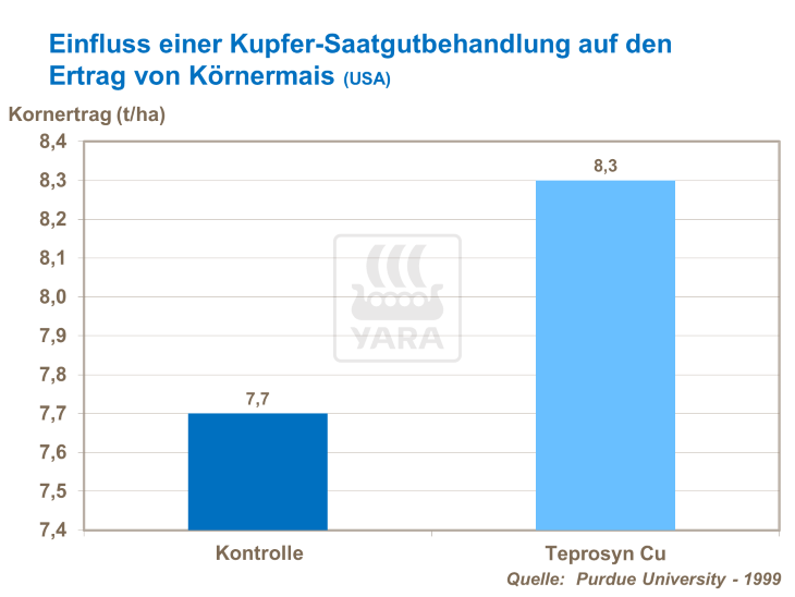 Einfluss einer Kupfer-Saatgutbehandlung auf den Ertrag von Körnermais