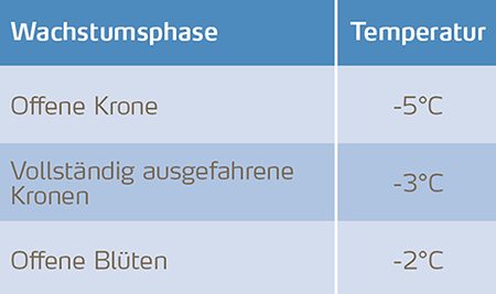 Wachstumsphasen und Frosthärt bei Erdbeeren
