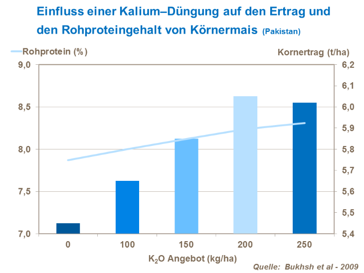 Einfluss einer Kalium-Düngung auf den Ertrag und den Rohproteingehalt von Körnermais (Pakistan) 