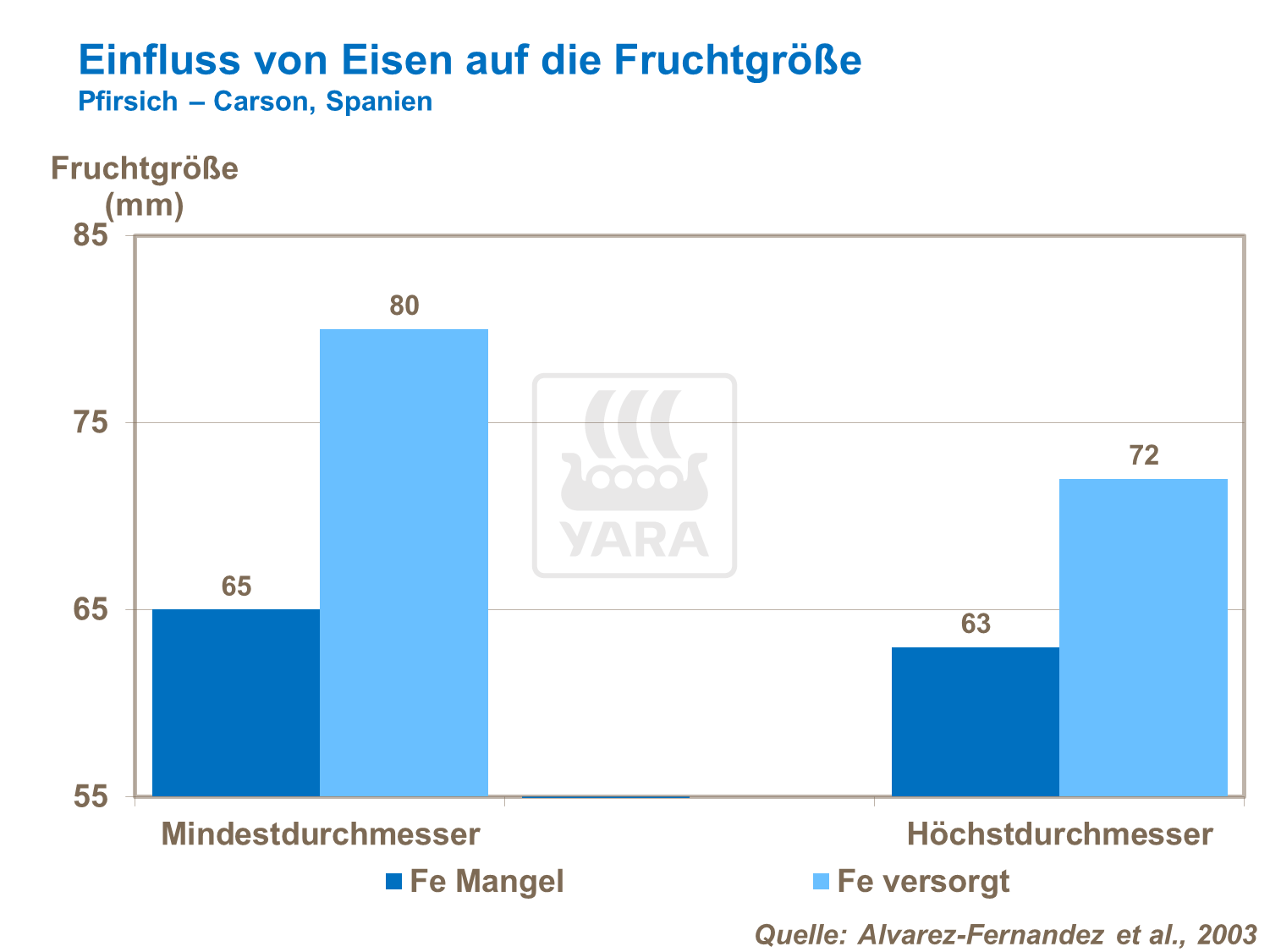 Einfluss von Eisen auf die Fruchtgrösse von Pfirsichen