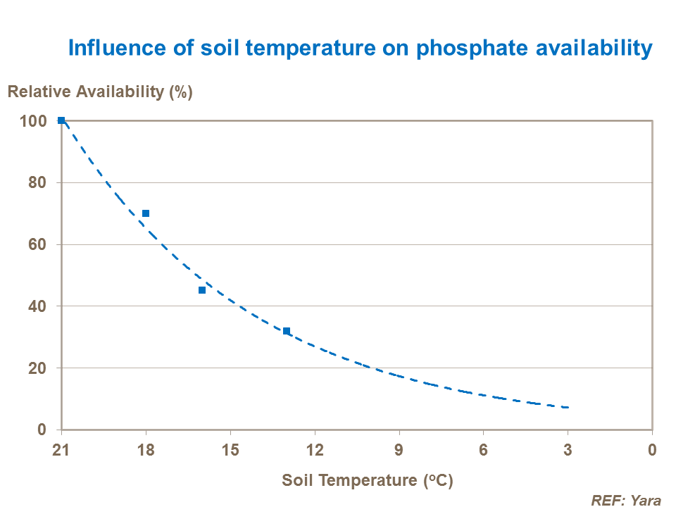 Influence of soil temperature on phosphate availability