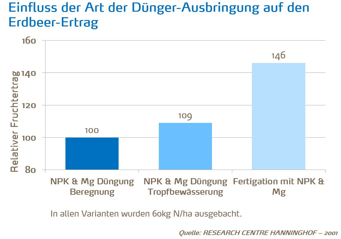 Einfluss der Art der Dünger-Ausbrigung auf den Erdbeer-Ertrag.JPG