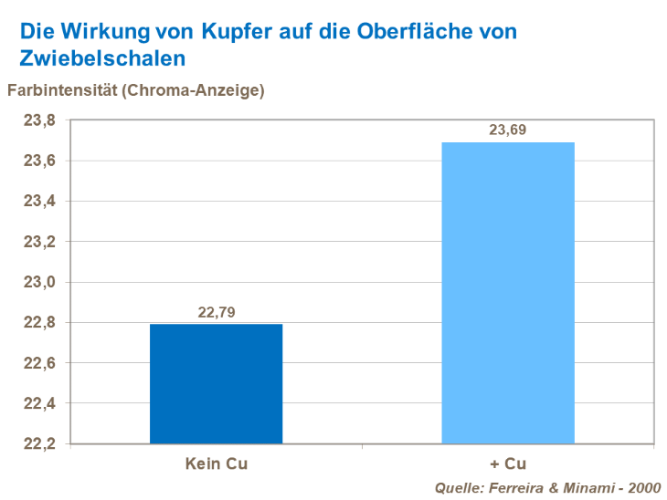 Die Wirkung von Kupfer auf die Oberfläche von Zwiebelschalen