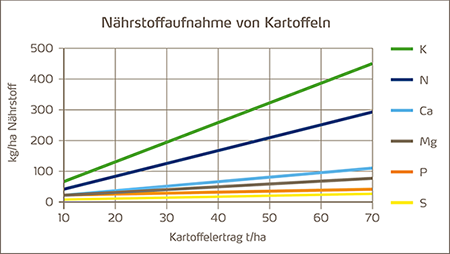 Nährstoffaufnahme von Kartoffeln