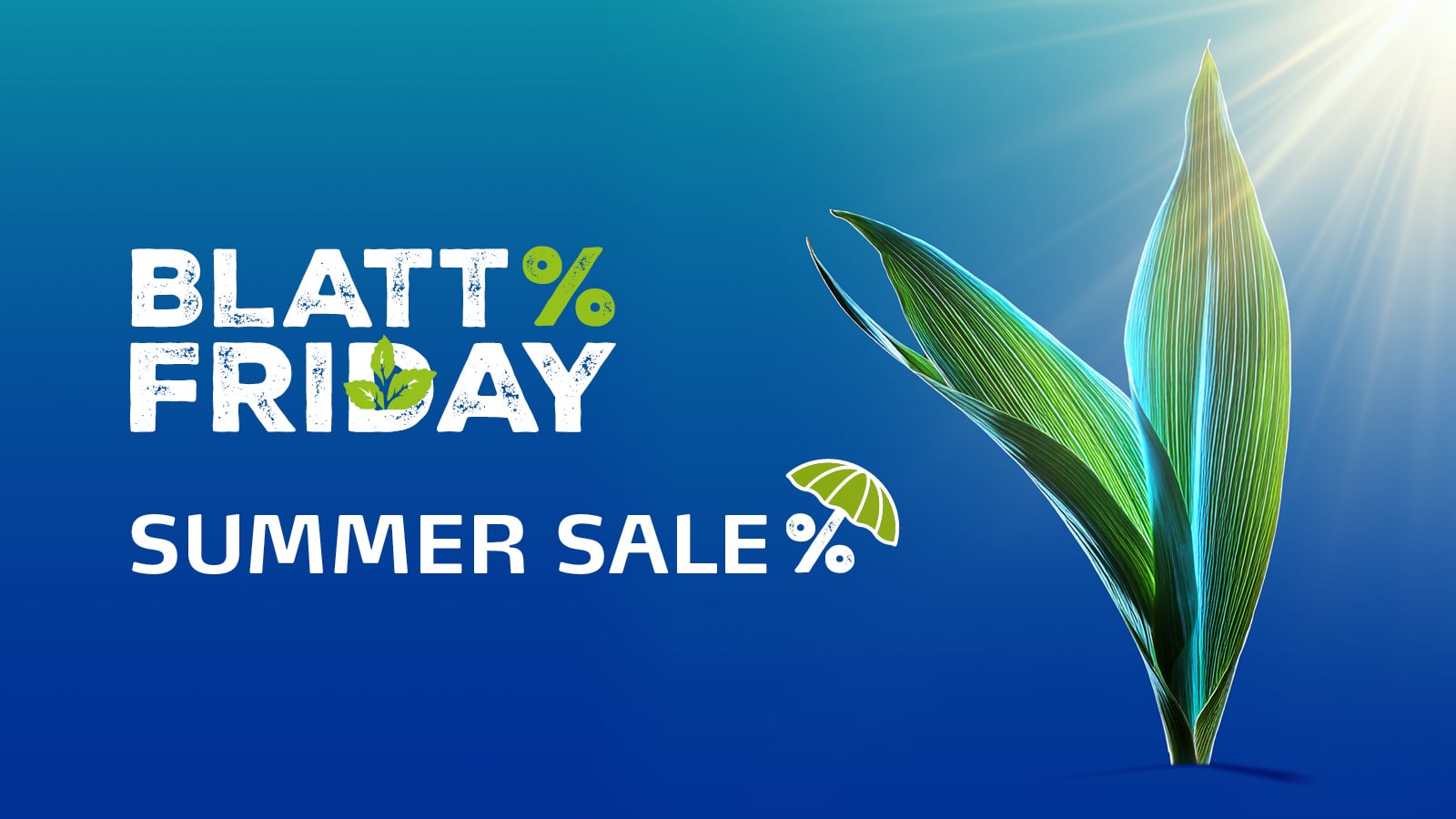 Yara Blatt-Friday Summer Sale
