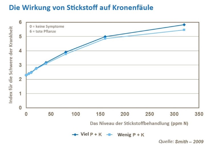 Erdbeer-Gesundheit 1 &  Erdbeerqualität 3.jpg