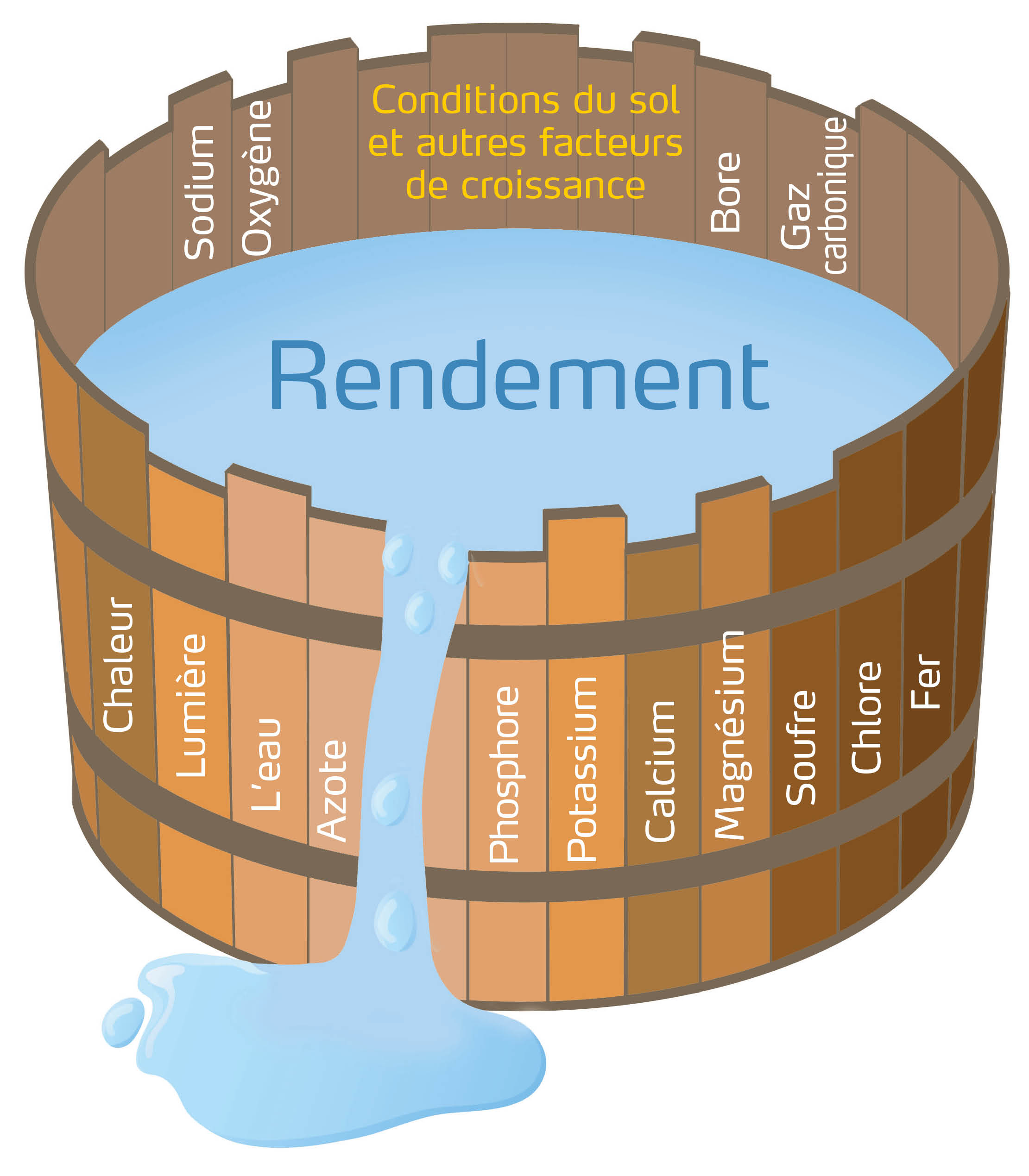 Leibig barrel drawing FR.jpg