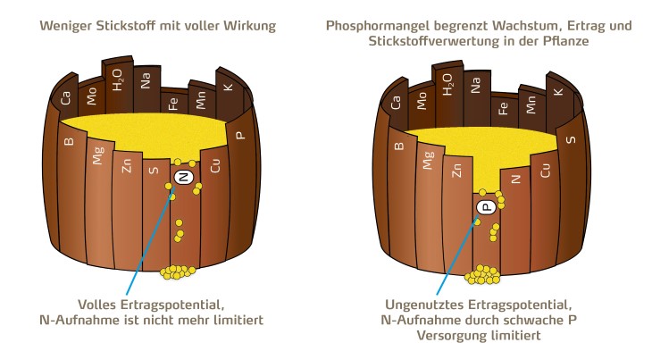 Grafik NA 03 2019.jpg