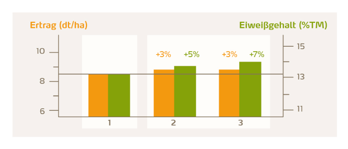 Ertrag und Eiweißgehalt bei unterschiedlichen Düngestrategien: 1) Mittlere Stickstoffintensität, kein Schwefel; 2) hohe Stickstoffintensität (+30 kg N), eine Ausbringung von Schwefel mit der ersten Düngergabe (+15 kg S); 3) hohe Stickstoffintensität (+30 kg N), Schwefelausbringung bei der ersten (+15 kg S) und dritten (+15 kg S) Düngergabe. Optimale S-Versorgung ermöglicht einen Anstieg des Eiweißgehalts um 7 %.