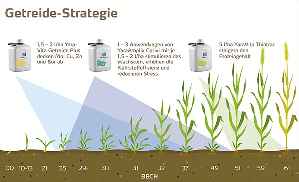 Blattdüngungs-Strategie für Getreide