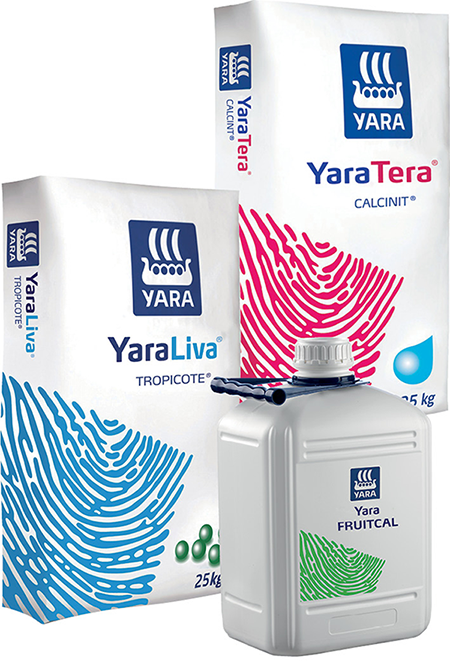 Beeren-News 03-2021 Kanister Sack Kombo_450px.png