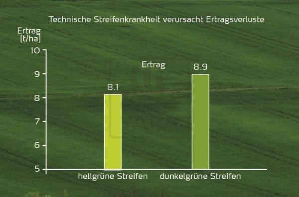 Abbildung 8: Ungleichmäßiges Streuen führt zu beträchtlichen Verlusten, selbst wenn die Streifen nicht offensichtlich sind.