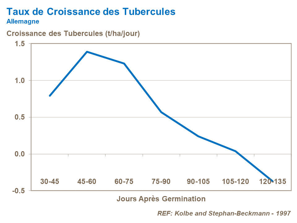 agronomic principles_tuber growth rate.png