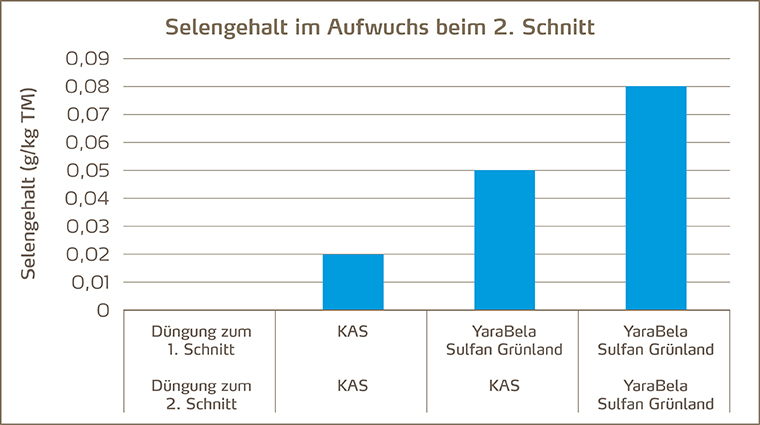 Selengehalt im Gras-Aufwuchs beim zweiten Schnitt