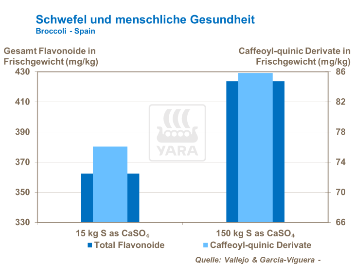 Schwefel und menschliche Gesundheit