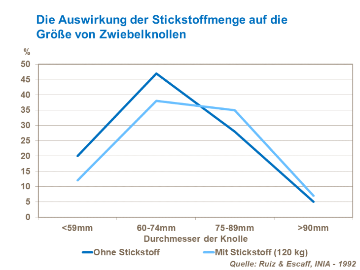 Die Auswirkung der Stickstoffmenge auf die Größe von Zwiebeln